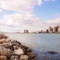 The Political Landscape of Wayne County, Michigan: An Expert's Perspective