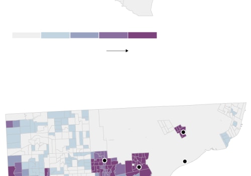 The Impact of Politicians on Immigration in Wayne County, Michigan